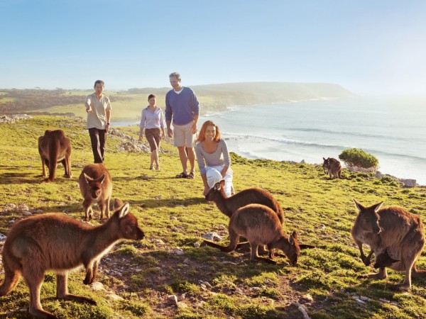 Tour Du lịch Úc có Visa Úc nhanh 2026 Khởi hành từ Hà Nội TP Hồ Chí Minh Đà Nẵng Sydney – CanBerra – Melbourne-Ballarat - Dandenong 7 Ngày 6 Đêm 