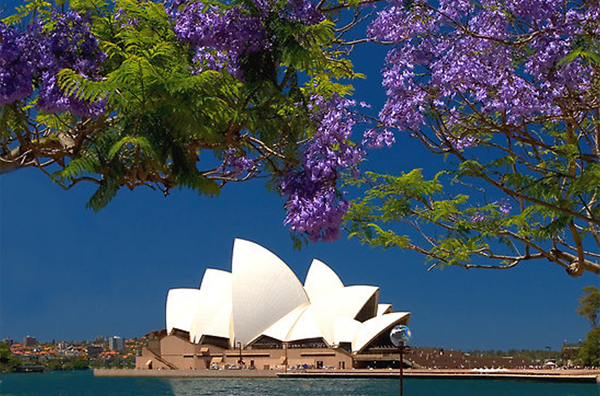 DU LỊCH NƯỚC ÚC - KHÁM PHÁ BACCHUS MARSH - MELBOURNE TẬN TAY HÁI TRÁI CÂY THƠM NGON CHÍN MỌNG 2026 